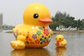 Duck rubber sculptures.